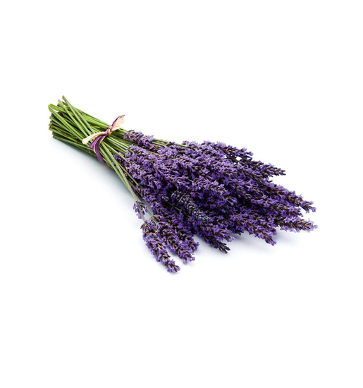 Lavanda