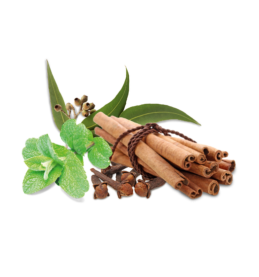 Spice mint