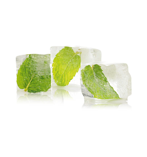 Menta glaciale